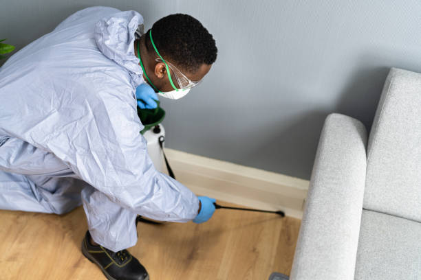 Emergency Pest Control Services in Bruceton, TN